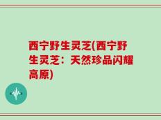 西宁野生灵芝(西宁野生灵芝：天然珍品闪耀高原)