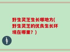 野生灵芝生长哪地方(野生灵芝的优良生长环境在哪里？)