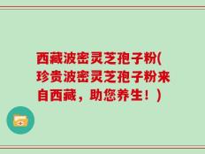 西藏波密灵芝孢子粉(珍贵波密灵芝孢子粉来自西藏，助您养生！)