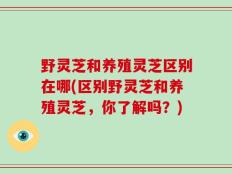 野灵芝和养殖灵芝区别在哪(区别野灵芝和养殖灵芝，你了解吗？)