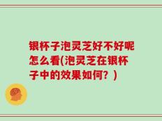 银杯子泡灵芝好不好呢怎么看(泡灵芝在银杯子中的效果如何？)