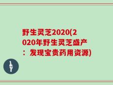 野生灵芝2020(2020年野生灵芝盛产：发现宝贵药用资源)