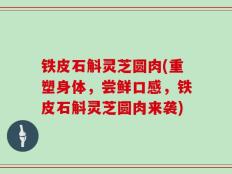 铁皮石斛灵芝圆肉(重塑身体，尝鲜口感，铁皮石斛灵芝圆肉来袭)