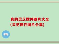 真的灵芝摆件图片大全(灵芝摆件图片合集)