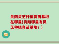 贵阳灵芝种植育苗基地在哪里(贵阳哪里有灵芝种植育苗基地？)