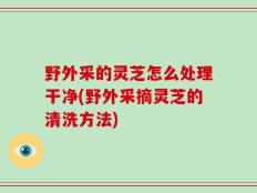 野外采的灵芝怎么处理干净(野外采摘灵芝的清洗方法)
