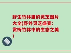 野生竹林里的灵芝图片大全(野外灵芝盛宴：赏析竹林中的生态之美)