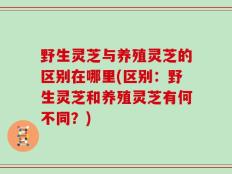 野生灵芝与养殖灵芝的区别在哪里(区别：野生灵芝和养殖灵芝有何不同？)