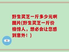 野生灵芝一斤多少元啊图片(野生灵芝一斤价格惊人，想必会让您感到意外！)