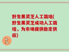 野生黑灵芝人工栽培(野生黑灵芝成功人工栽培，为市场提供稳定供应)