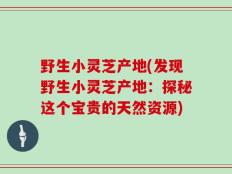 野生小灵芝产地(发现野生小灵芝产地：探秘这个宝贵的天然资源)