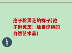 孢子粉灵芝的样子(孢子粉灵芝：触目惊艳的自然艺术品)