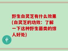 野生白灵芝有什么效果(白灵芝的功效：了解一下这种野生菌类的惊人好处)