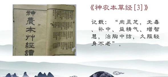 QQ图片20220902114322.jpg 灵芝孢子粉对人身体的好处出人意料