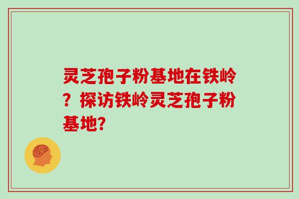 灵芝孢子粉基地在铁岭?探访铁岭灵芝孢子粉基地?