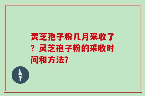 灵芝孢子粉几月采收了?灵芝孢子粉的采收时间和方法?