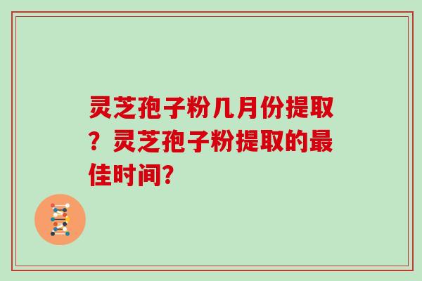 灵芝孢子粉几月份提取?灵芝孢子粉提取的最佳时间?