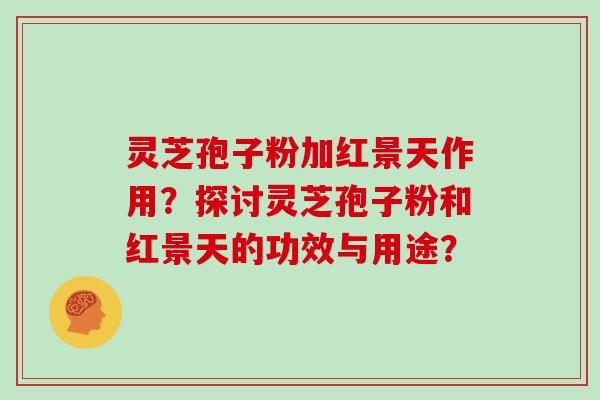 灵芝孢子粉加红景天作用?探讨灵芝孢子粉和红景天的功效与用途?