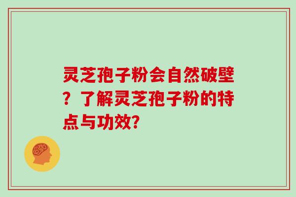 灵芝孢子粉会自然破壁？了解灵芝孢子粉的特点与功效？