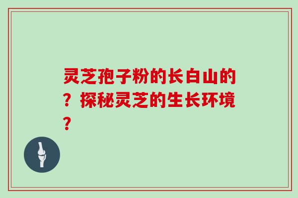 灵芝孢子粉的长白山的？探秘灵芝的生长环境？
