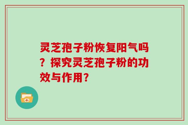 灵芝孢子粉恢复阳气吗？探究灵芝孢子粉的功效与作用？