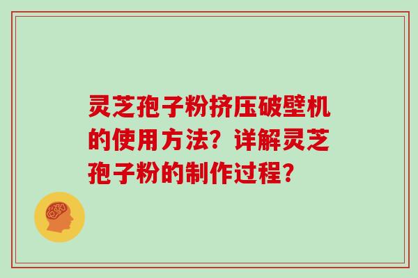 灵芝孢子粉挤压破壁机的使用方法?详解灵芝孢子粉的制作过程?