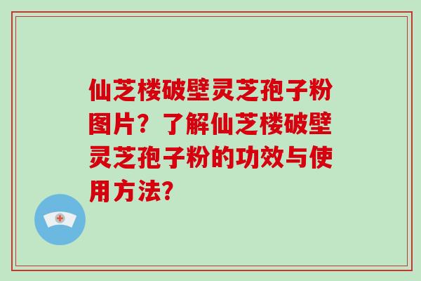 仙芝楼破壁灵芝孢子粉图片？了解仙芝楼破壁灵芝孢子粉的功效与使用方法？