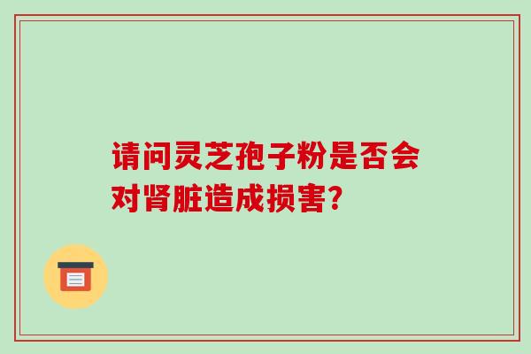 请问灵芝孢子粉是否会对肾脏造成损害？