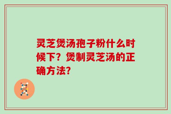 灵芝煲汤孢子粉什么时候下？煲制灵芝汤的正确方法？