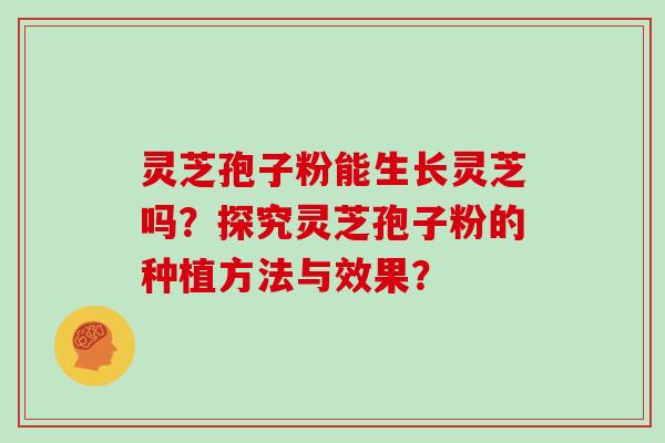 灵芝孢子粉能生长灵芝吗?探究灵芝孢子粉的种植方法与效果?
