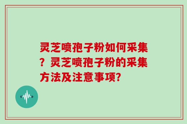 灵芝喷孢子粉如何采集?灵芝喷孢子粉的采集方法及注意事项?
