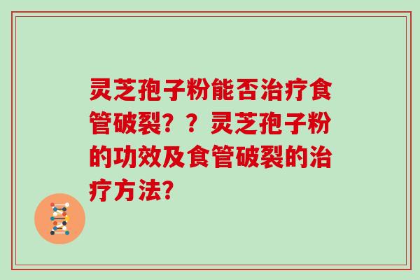 灵芝孢子粉能否治疗食管破裂？？灵芝孢子粉的功效及食管破裂的治疗方法？