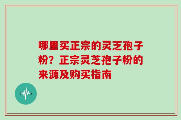 哪里买正宗的灵芝孢子粉?正宗灵芝孢子粉的来源及购买指南