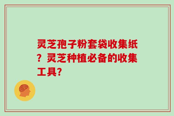 灵芝孢子粉套袋收集纸？灵芝种植必备的收集工具？