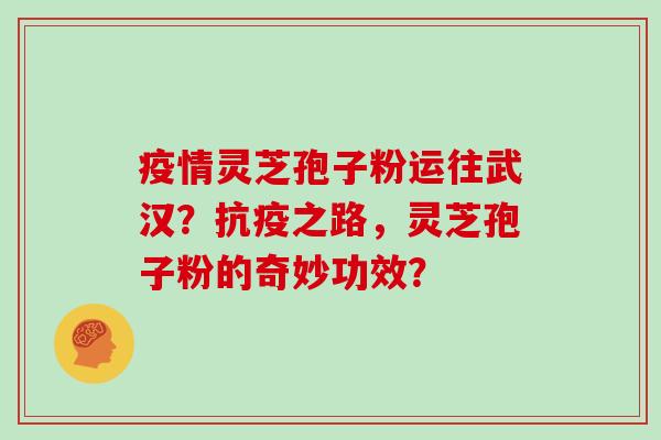 疫情灵芝孢子粉运往武汉？抗疫之路，灵芝孢子粉的奇妙功效？