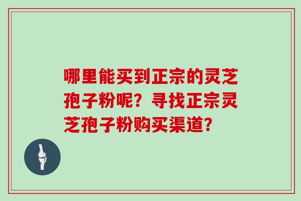 哪里能买到正宗的灵芝孢子粉呢?寻找正宗灵芝孢子粉购买渠道?