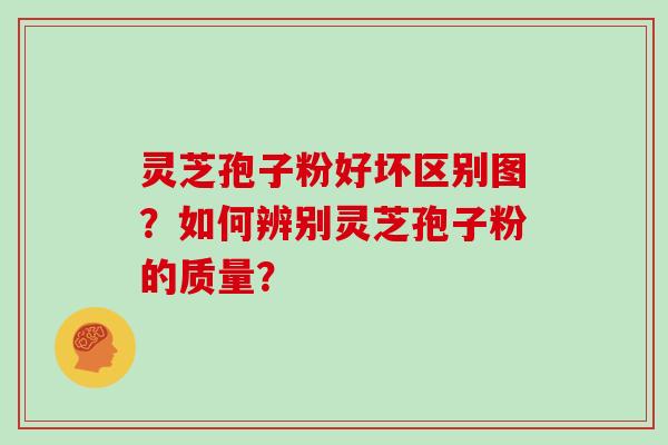 灵芝孢子粉好坏区别图?如何辨别灵芝孢子粉的质量?