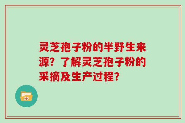 灵芝孢子粉的半野生来源?了解灵芝孢子粉的采摘及生产过程?
