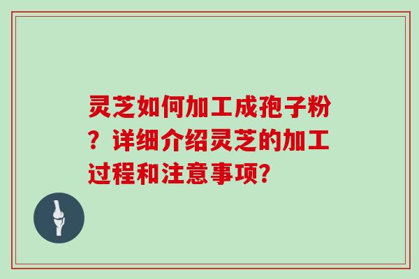 灵芝如何加工成孢子粉?详细介绍灵芝的加工过程和注意事项?