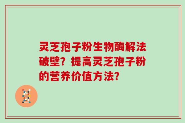 灵芝孢子粉生物酶解法破壁?提高灵芝孢子粉的营养价值方法?