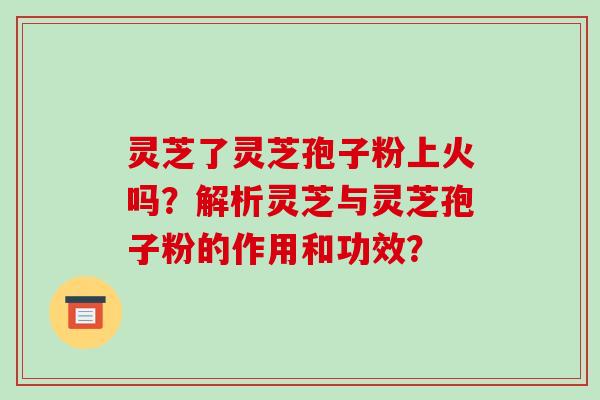 灵芝了灵芝孢子粉上火吗？解析灵芝与灵芝孢子粉的作用和功效？