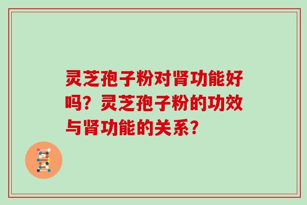 灵芝孢子粉对肾功能好吗？灵芝孢子粉的功效与肾功能的关系？