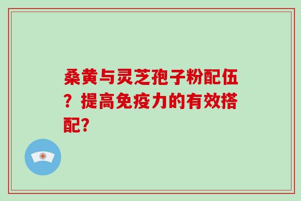 桑黄与灵芝孢子粉配伍?提高免疫力的有效搭配?
