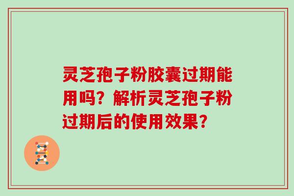 灵芝孢子粉胶囊过期能用吗?解析灵芝孢子粉过期后的使用效果?