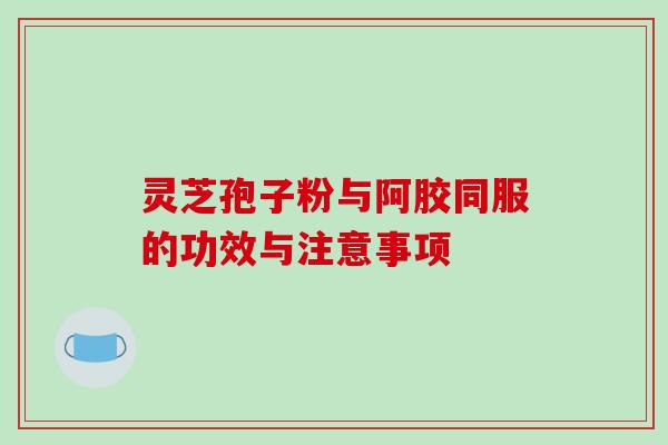 灵芝孢子粉与阿胶同服的功效与注意事项