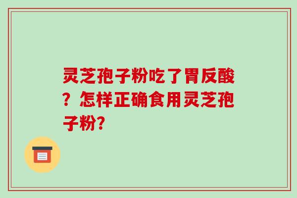 灵芝孢子粉吃了胃反酸?怎样正确食用灵芝孢子粉?