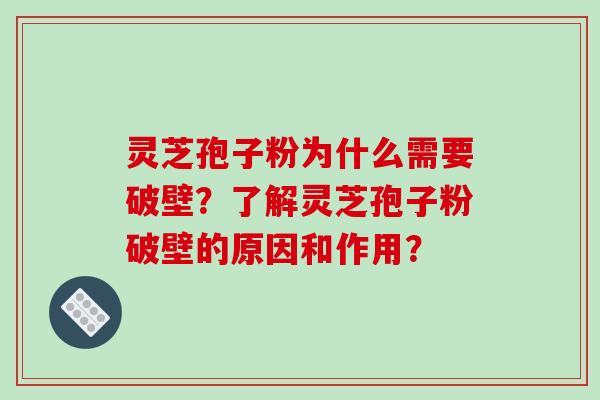 灵芝孢子粉为什么需要破壁?了解灵芝孢子粉破壁的原因和作用?