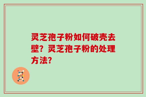 灵芝孢子粉如何破壳去壁？灵芝孢子粉的处理方法？