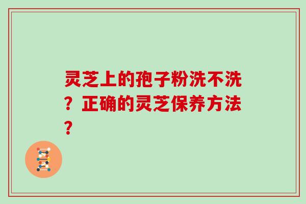 灵芝上的孢子粉洗不洗？正确的灵芝保养方法？