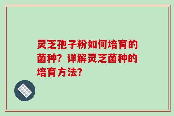 灵芝孢子粉如何培育的菌种？详解灵芝菌种的培育方法？